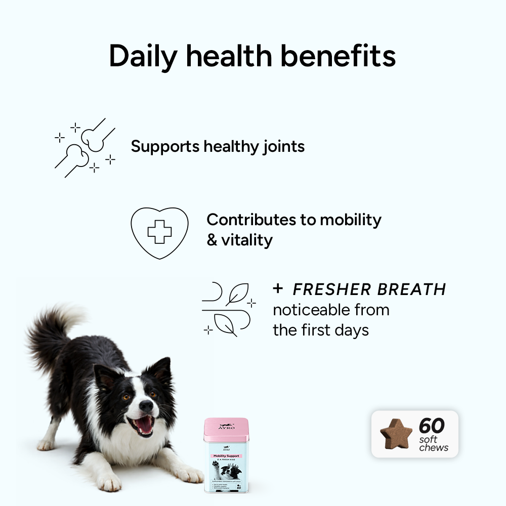MOBILITY SUPPORT + Breath freshener
