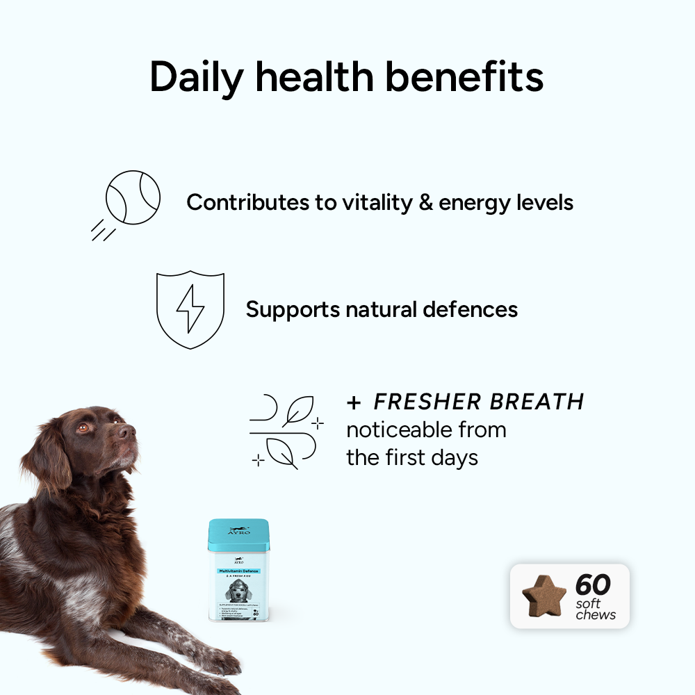 MULTIVITAMIN DEFENCE + Breath freshener